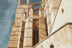 Expedição fotográfica pelo coração de Palma