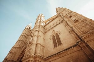 Expedição fotográfica pelo coração de Palma