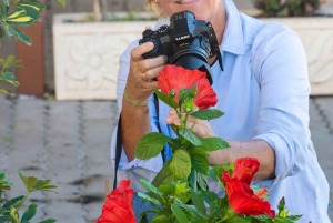Oficina de fotografia no porto de Porto Cristo