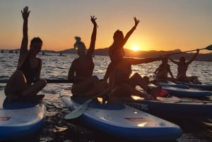 Playa Palma: Stand-up Paddleboard Rental