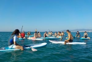 Playa Palma: Stand-up Paddleboard Rental