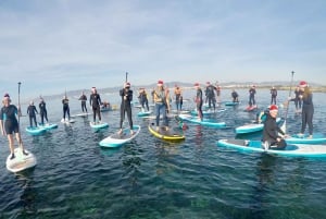 Playa Palma: Stand-up Paddleboard Rental