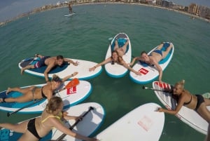 Playa Palma: Stand-up Paddleboard Rental