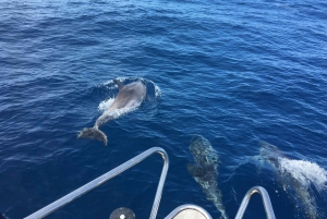 ポリェンサ／アルクディア：フォルメントル岬でセーリングを楽しむ1日