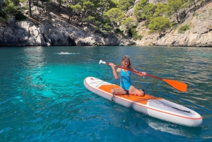 ポリェンサ／アルクディア：フォルメントル岬でセーリングを楽しむ1日