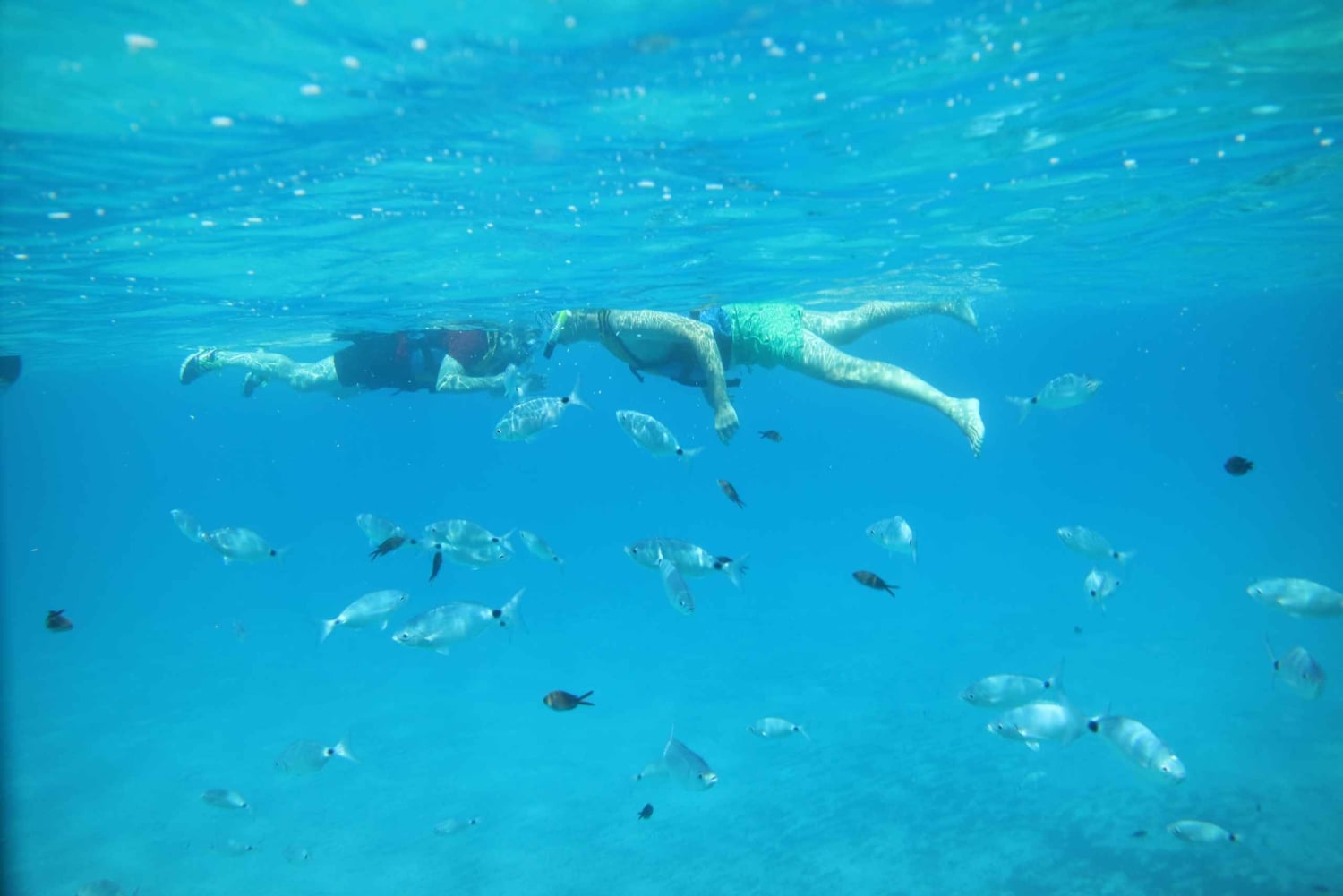 Pollença: Kajak och Coasteering Klipphoppning