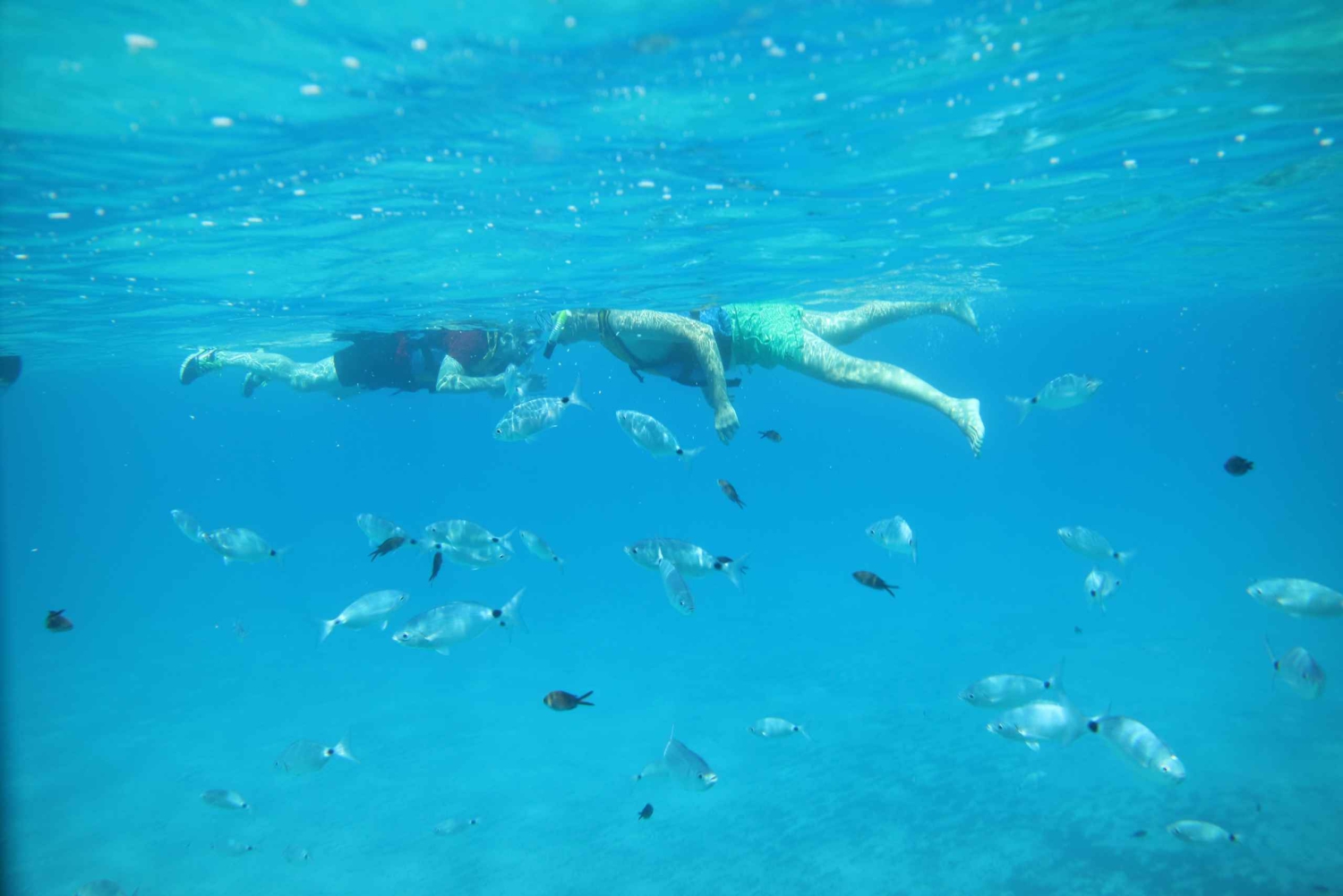 Pollença: Kajakarstwo i coasteering, skoki z klifów
