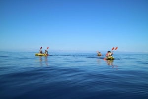 Pollença: Kayak e Coasteering Salto dalle scogliere