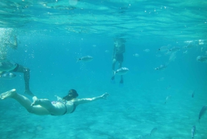 Pollença: Kajakarstwo i coasteering, skoki z klifów