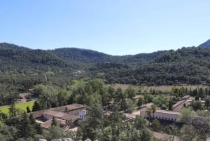 Рынок Полленса и монастырь Льюк