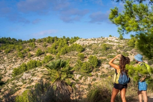 Port Andratx : Randonnée au coucher du soleil à Sant Elm