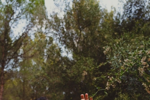 Port Andratx : Randonnée au coucher du soleil à Sant Elm