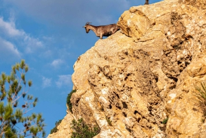 Port Andratx : Randonnée au coucher du soleil à Sant Elm