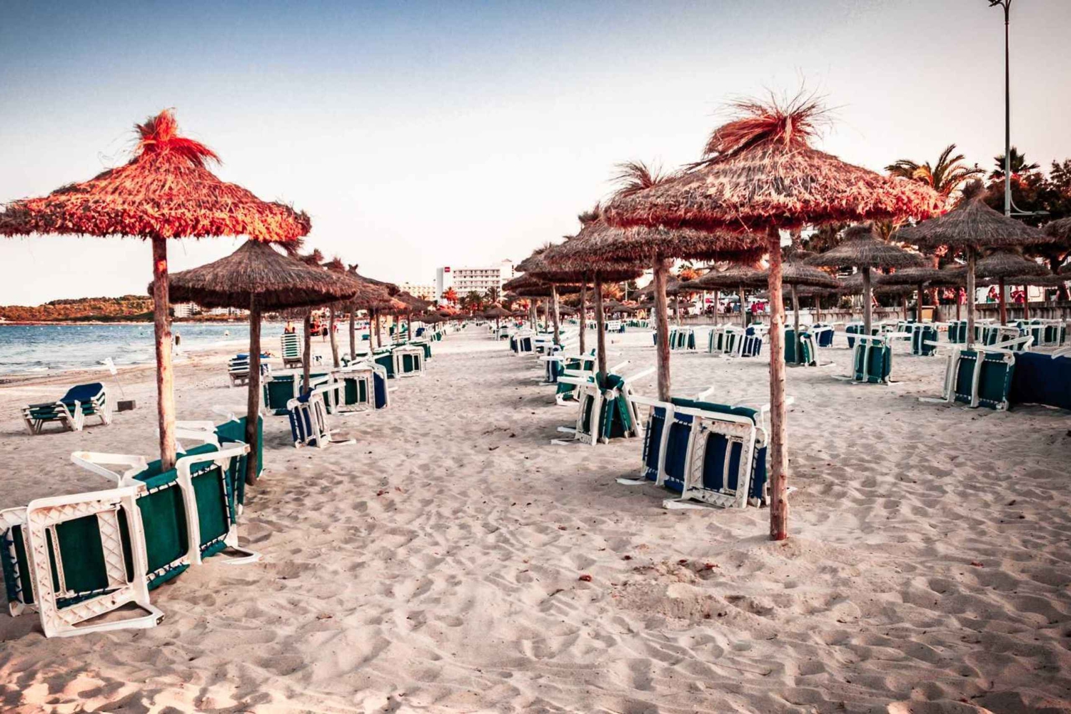 Port d'Alcudia: Möt de magiska varelserna,familjespel & promenad