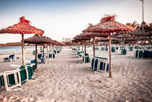 Port d'Alcudia: Möt de magiska varelserna,familjespel & promenad