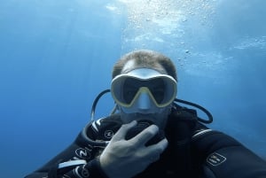 Ontdekkingsduiken met rondvaart