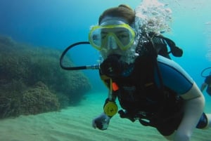 Ontdekkingsduiken met rondvaart