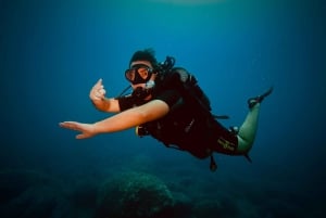 Ontdekkingsduiken met rondvaart