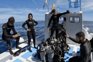 Ontdekkingsduiken met rondvaart