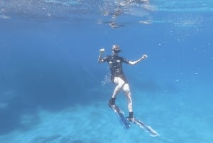 ポルト デ ソリェル：プロのガイド付きシュノーケリング ツアー