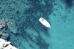 Port de Sóller: Tour di snorkeling con guida professionale