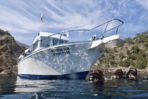 Port de Sóller: Tour di snorkeling con guida professionale