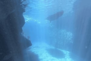 Port de Sóller: Tour di snorkeling con guida professionale