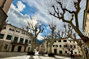 Excursión Puesta de Sol Puerto de Sóller, Sóller y Sa Foradada
