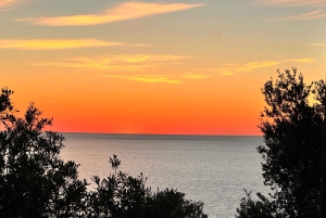 Excursión Puesta de Sol Puerto de Sóller, Sóller y Sa Foradada