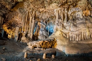 Porto Cristo: Jaskinie Cuevas dels Hams Bilet wstępu