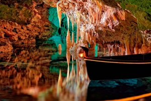 Porto Cristo: Dinosaurland and Caves of Hams Combined Ticket