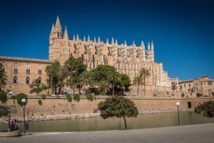 Passeio privativo de 4 horas por Palma de Mallorca (embarque no hotel/porto)