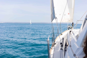 Barca a vela privata ed esclusiva nella baia di Palma e dintorni