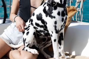 Barca a vela privata ed esclusiva nella baia di Palma e dintorni