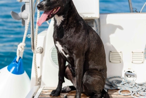 Barca a vela privata ed esclusiva nella baia di Palma e dintorni