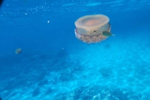 Yksityinen venekierros Cala Millor, Canyamel:meriluola&snorkkelointi