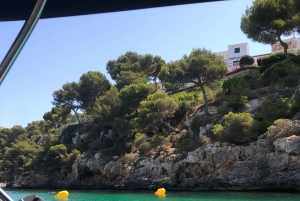 Частная прогулка на лодке по морскому заповеднику Плайя-де-Пальма