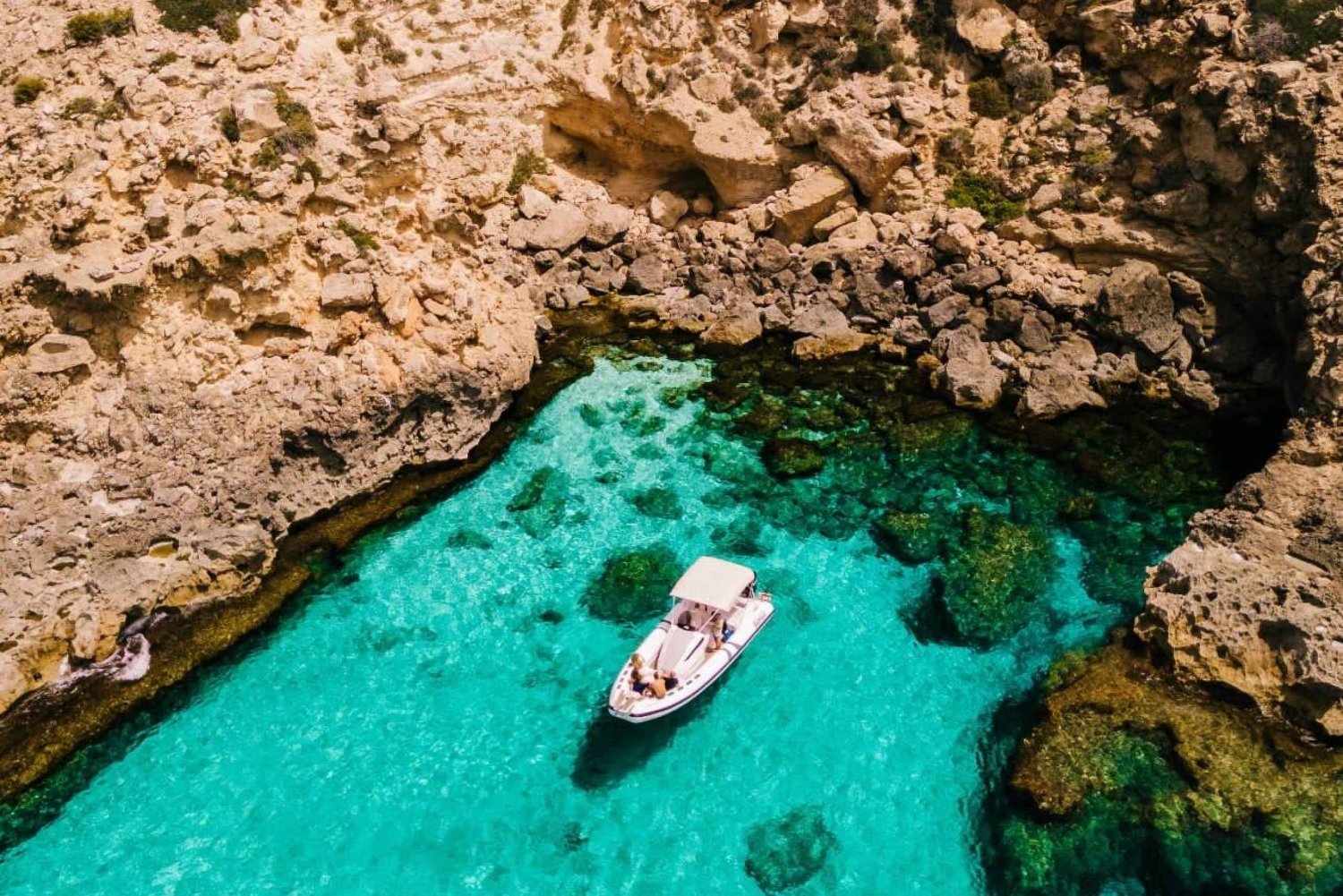 Privat båttur och snorkling till marinreservatet Mallorca