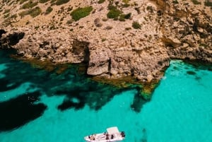 Privat båttur och snorkling till marinreservatet Mallorca