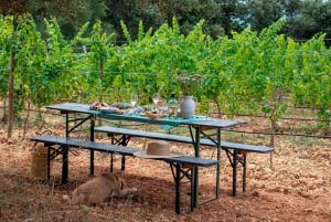 Private highlights of the Palma and West coast of Mallorca