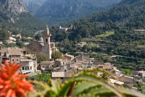 Private highlights of the Palma and West coast of Mallorca