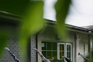 Privat yoga og mindfulness i naturen ved solopgang/solnedgang