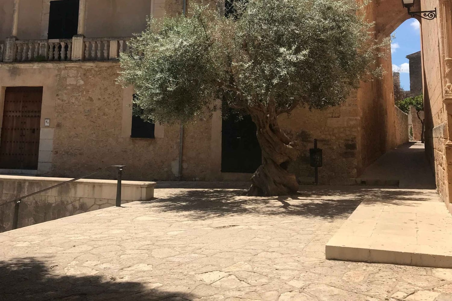 Privat tur: Vinsmagning, oplev det ægte Mallorca