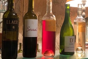 Privat tur: Vinsmagning, oplev det ægte Mallorca