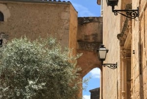 Privat tur: Vinsmagning, oplev det ægte Mallorca