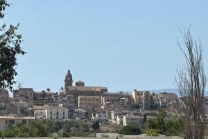 Privat tur: Vinsmagning, oplev det ægte Mallorca