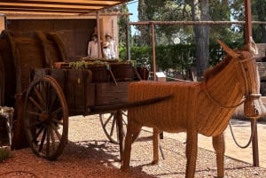 Privat tur: Vinsmagning, oplev det ægte Mallorca