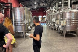 Privat tur: Vinsmagning, oplev det ægte Mallorca