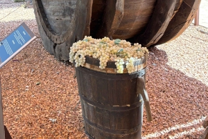 Privat tur: Vinsmagning, oplev det ægte Mallorca