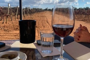 Privat tur: Vinsmagning, oplev det ægte Mallorca